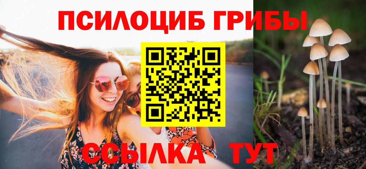 Симферополь  Псилоцибиновые грибы Psilocybine cubensis  Вход с VPN 